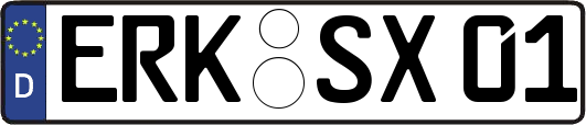 ERK-SX01