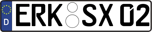 ERK-SX02