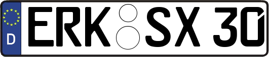 ERK-SX30