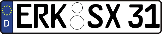 ERK-SX31