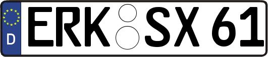ERK-SX61