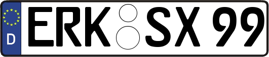ERK-SX99