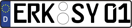 ERK-SY01