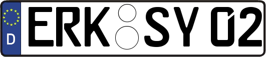 ERK-SY02