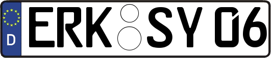 ERK-SY06