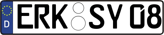 ERK-SY08