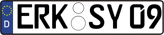 ERK-SY09