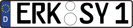 ERK-SY1