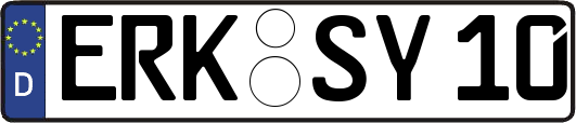 ERK-SY10