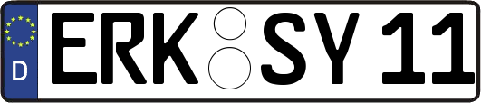 ERK-SY11