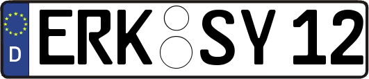 ERK-SY12