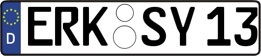 ERK-SY13