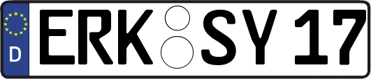 ERK-SY17