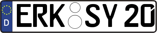 ERK-SY20