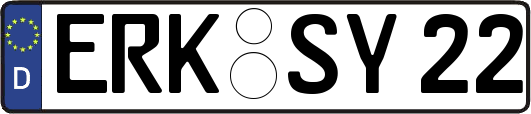 ERK-SY22