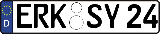 ERK-SY24