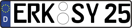 ERK-SY25