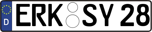 ERK-SY28