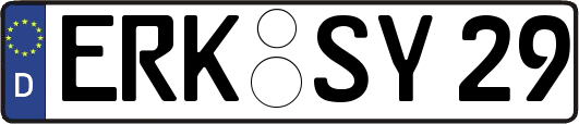 ERK-SY29