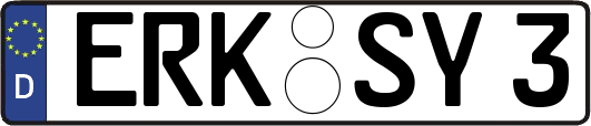 ERK-SY3