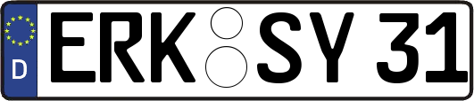 ERK-SY31