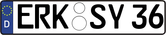 ERK-SY36