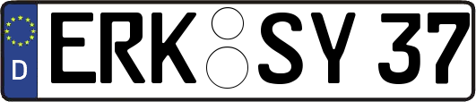 ERK-SY37