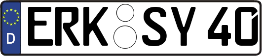 ERK-SY40