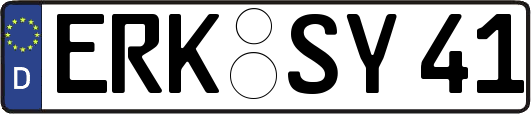 ERK-SY41