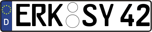 ERK-SY42