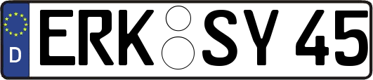 ERK-SY45