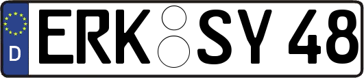 ERK-SY48