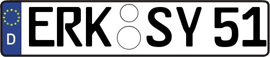 ERK-SY51