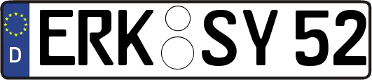 ERK-SY52