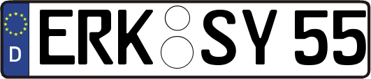 ERK-SY55