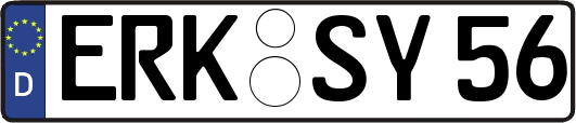 ERK-SY56
