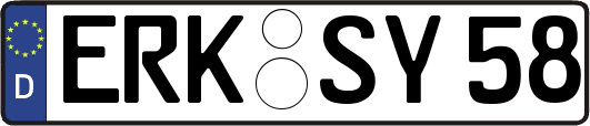 ERK-SY58