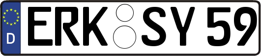 ERK-SY59