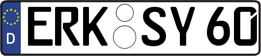 ERK-SY60