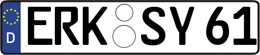 ERK-SY61