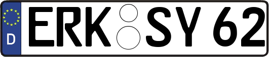 ERK-SY62