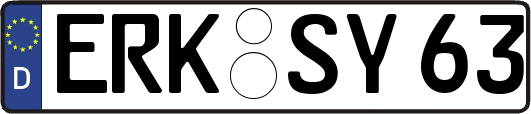 ERK-SY63