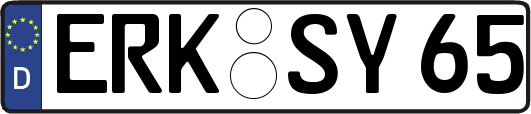ERK-SY65