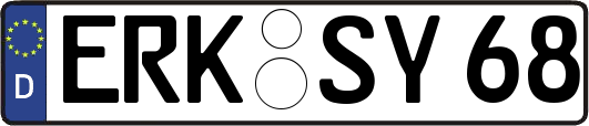 ERK-SY68