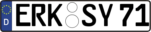 ERK-SY71