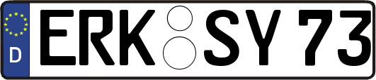 ERK-SY73