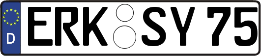 ERK-SY75