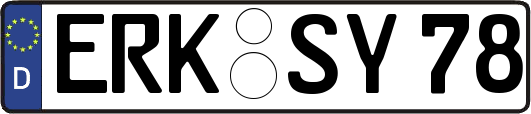 ERK-SY78
