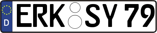 ERK-SY79