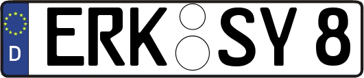 ERK-SY8